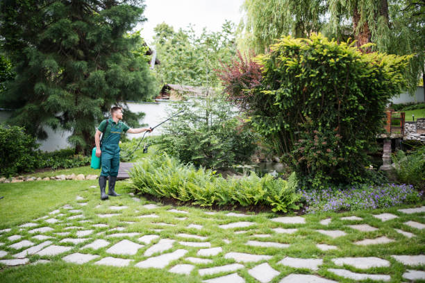 Best Local Pest Control Services  in West University Place, TX