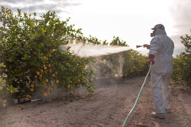 Trusted West University Place, TX Pest Control Experts