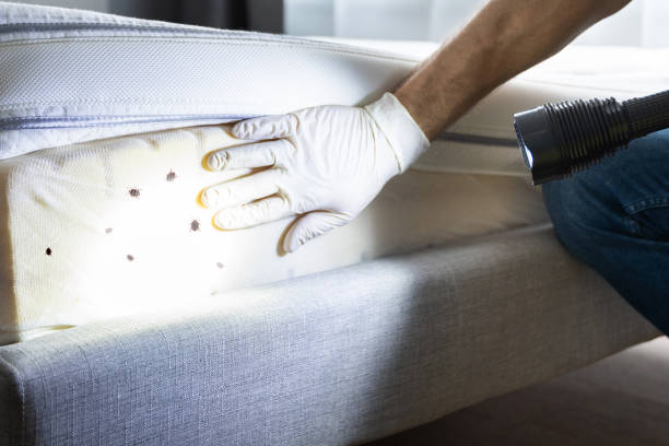 Best Wildlife Control Services  in West University Place, TX